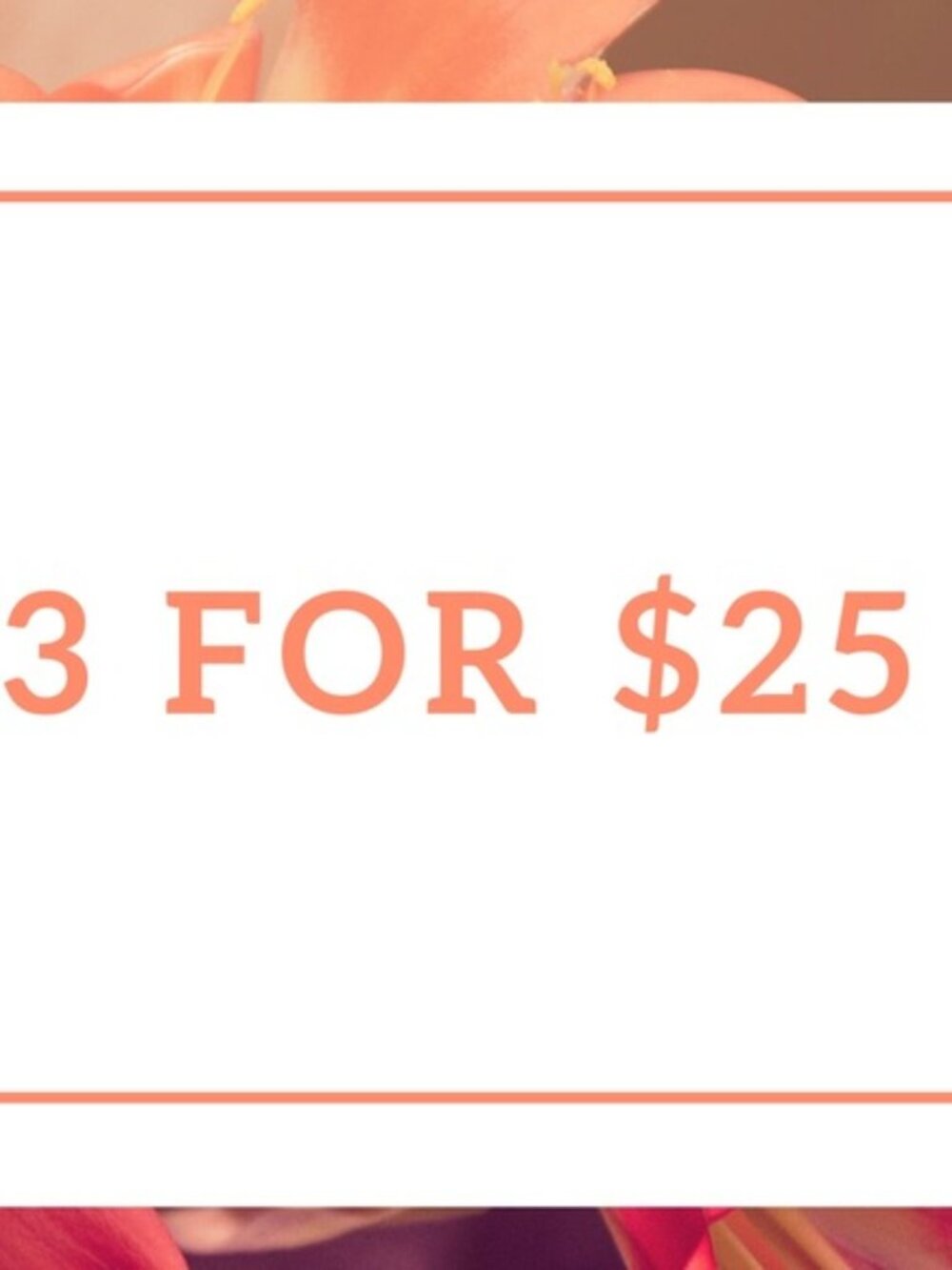 3 for $25 SALE! Bundle and Save!